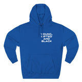 Young, Gifted and Black (bold) 2-Sided Unisex Premium Pullover Hoodie